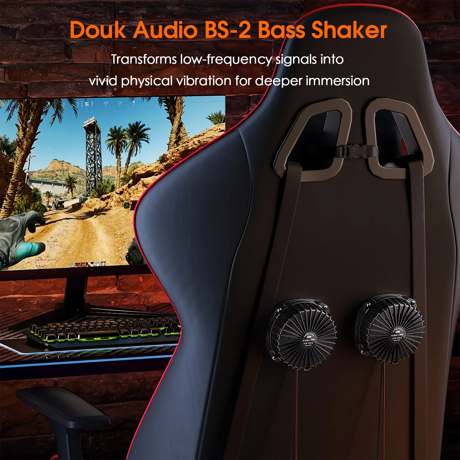 Douk Audio BS-2 30W 4Ω Bass Sh - огляд і ціна Home Cinema Chairs